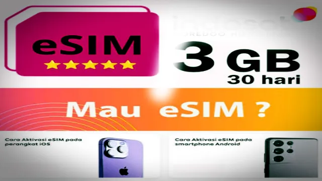 ESIM_dibot logo
