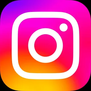 InstagramVideoFetcherBot logo
