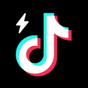 TikTokVideoFetcherBot logo
