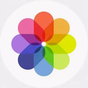 imagecolorizerbot logo